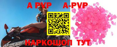бошки Кингисепп