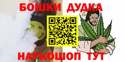 бошки Кингисепп
