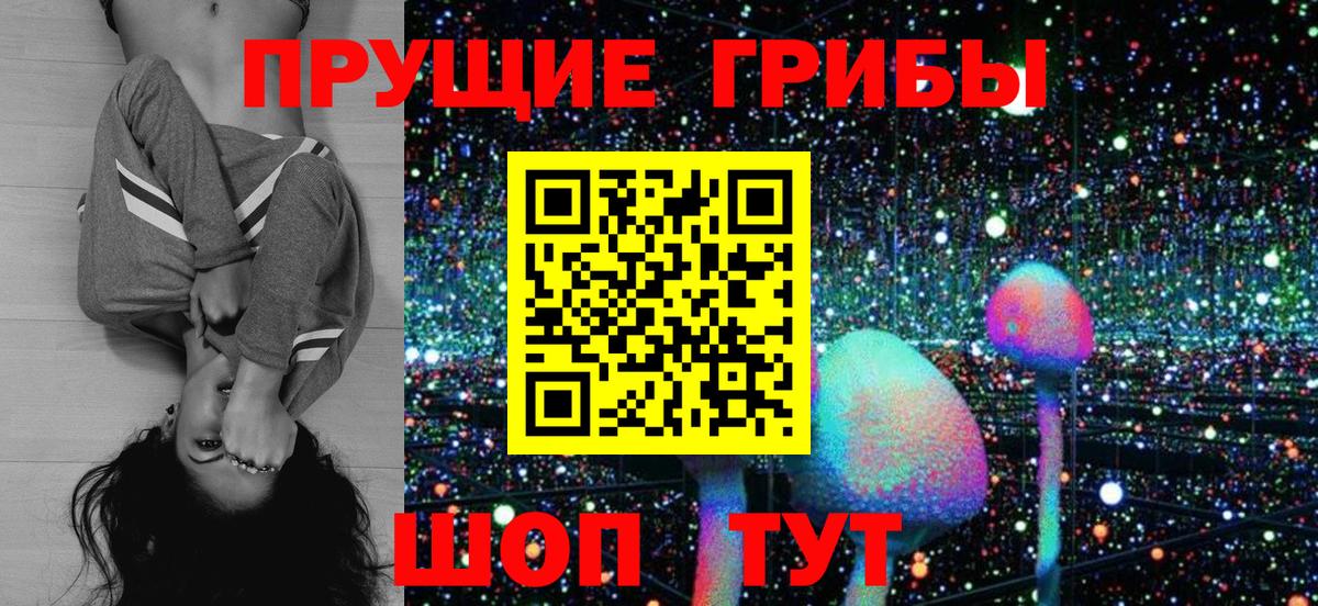 Псилоцибиновые грибы Psilocybine cubensis Невинномысск