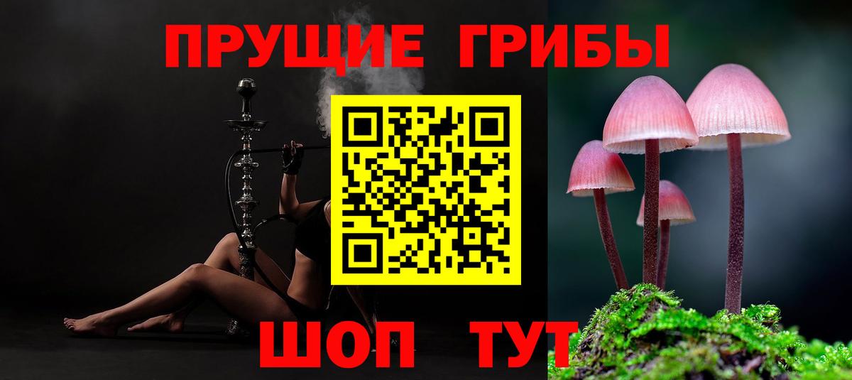 Невинномысск  Галлюциногенные грибы Psilocybine cubensis  Псилоцибиновые грибы GOLDEN TEACHER  Вход с VPN 
